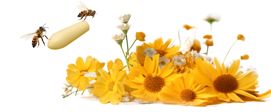 Пчела с суппозиторием и цветы